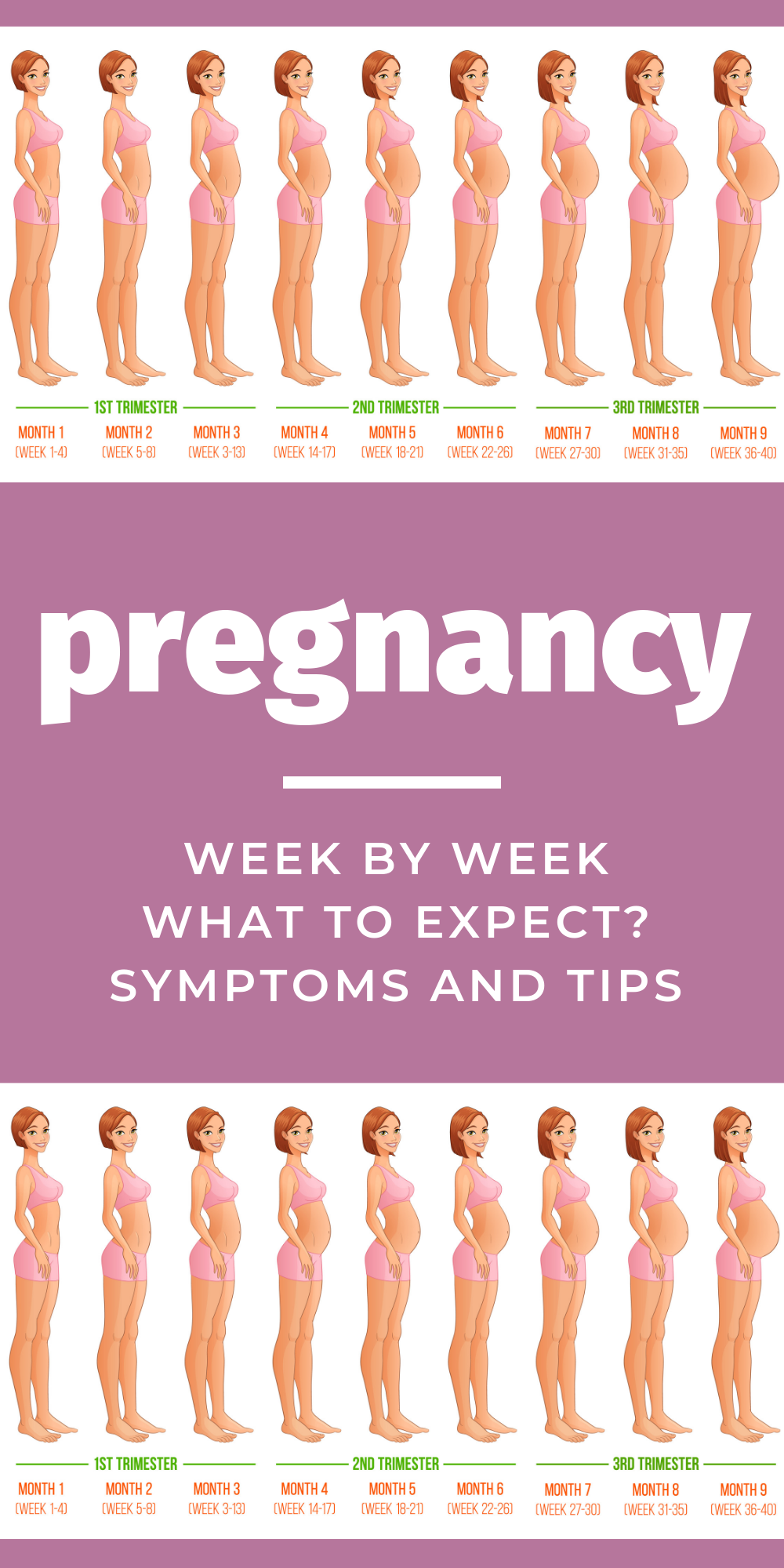 Pregnancy Week By Week Symptoms And Tips To Help And Guide You Annie 