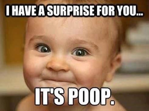 hilarious pictures of babies with quotes